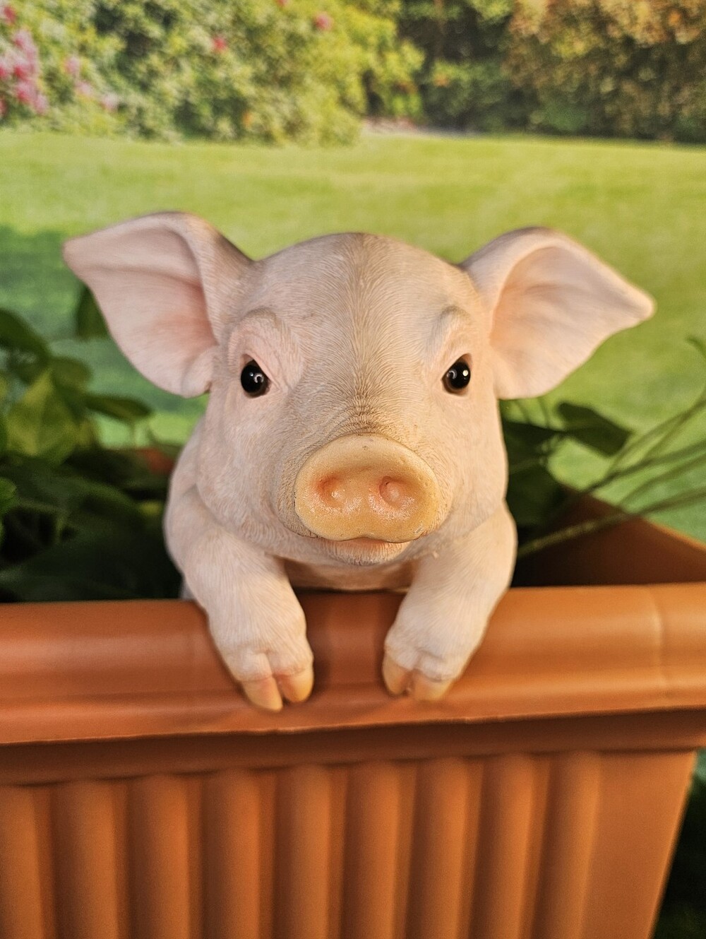 Farm Animal Peekaboo Pig/Piglet/ Hog Statue Figurine for hanging from...
